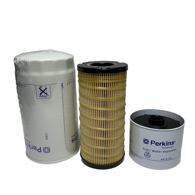 Perkins Diesel Engine Fuel Filter 26560201 for Forklift Model CPC D 20-30 and More