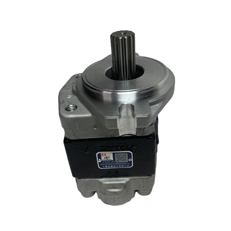 Guaranteed Steel Gear Pump SGP1A32D4H1-1489D for R305-601100-000 CPCD30 Forklift